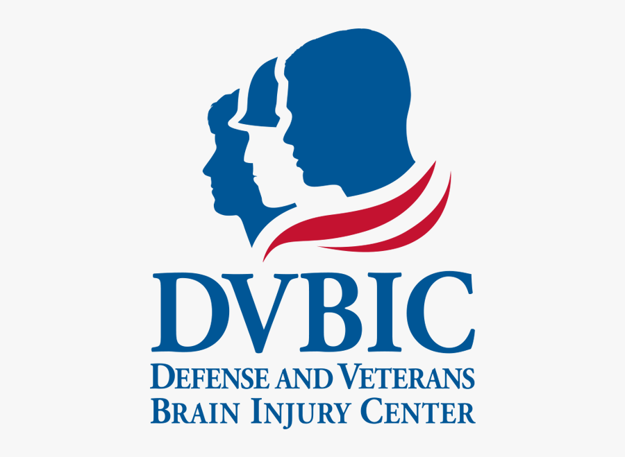 DVBIC